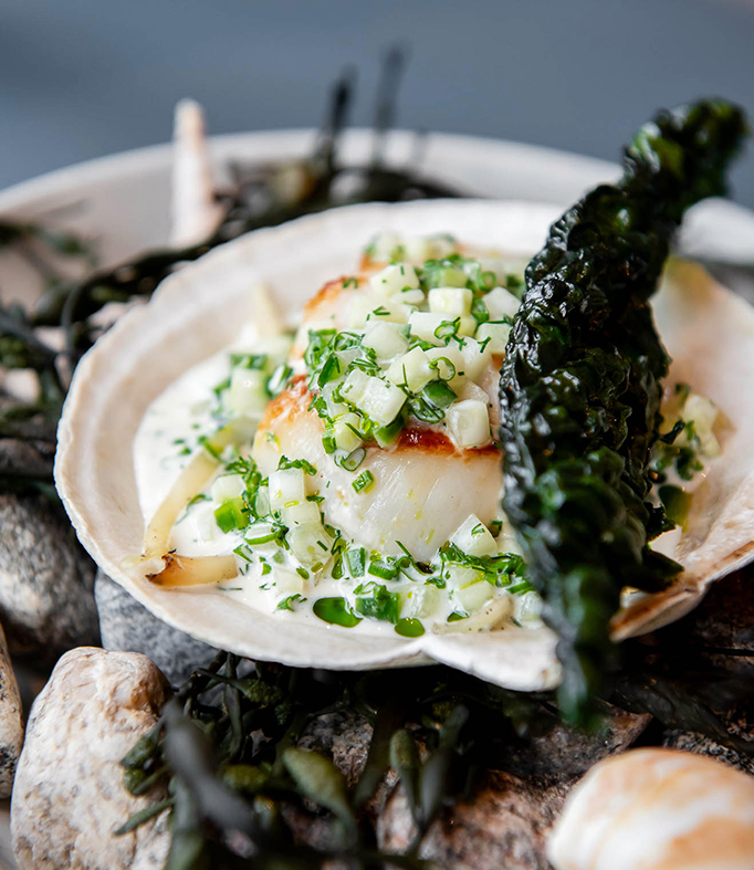 Scallops served in a shell dish topped with seaweed